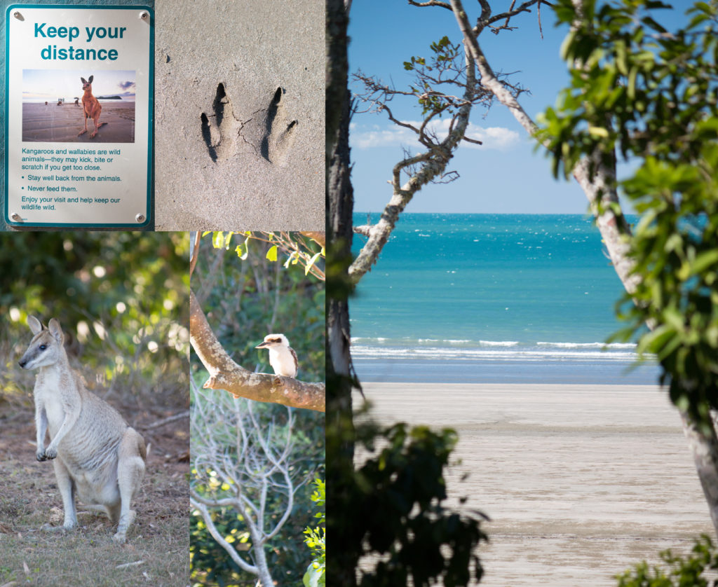 Cape Hillsborough 2