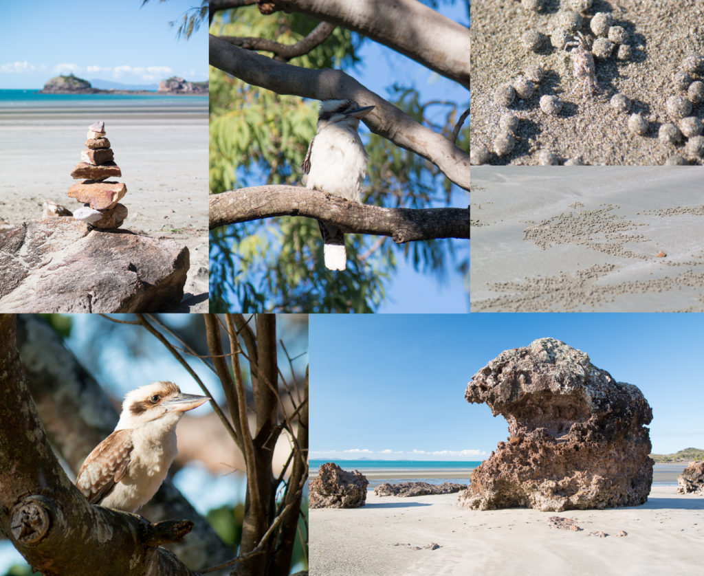 Cape Hillsborough 3