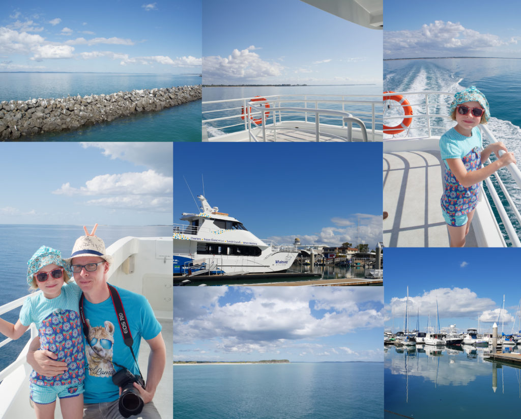 Whale watching