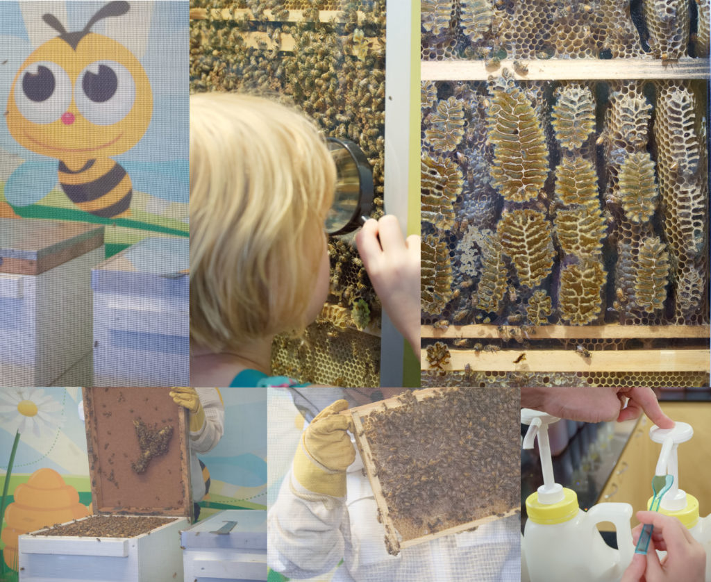 Ginger Factory Bee